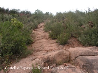 Castell d'Espases-Pendent rocallosa.