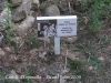 Castell d'Esponellà / Pla de l'Estany - Durant la passejada pel bell mig de les restes de l'edificació, anem trobant aquests petits cartells informatius.