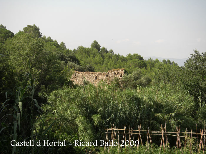 castell-d-hortal-090715_702