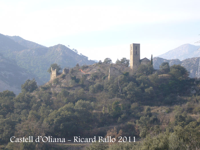 castell-doliana-110211_505