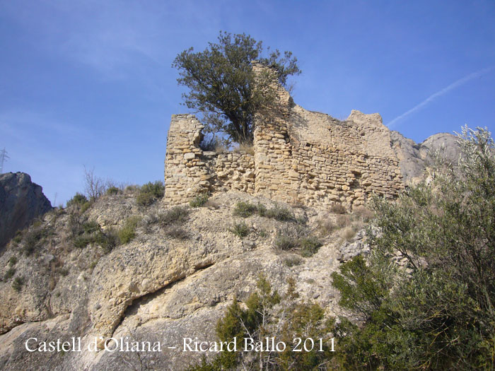 castell-doliana-110211_520