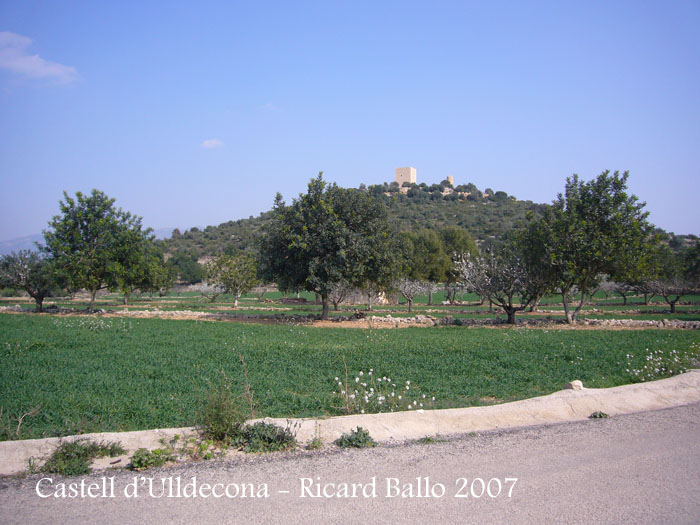 castell-dulldecona-070317_505