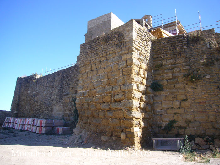 castell-i-muralles-dager_518