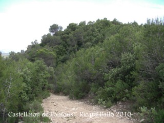 Camí de baixada des del lloc on hem aparcat, fins l'església.