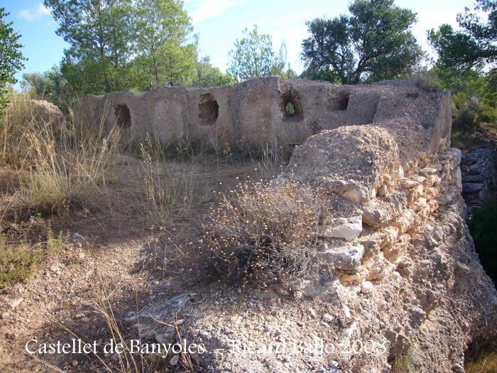 castellet-de-banyoles-080912_544