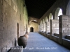 Catedral de Santa Maria - la Seu d'Urgell. Claustre.