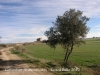 Vista del castell de Montcortès des del columbari romà.