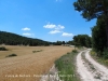 Conca de Barberà - Paisatges