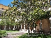 Claustre del Convent de Sant Francesc – Vilafranca del Penedès