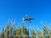 Avions sobrevolant el Delta del Llobregat