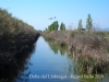 Espais naturals del Delta del Llobregat – Prat de Llobregat