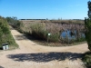 Espais naturals del Delta del Llobregat – Prat de Llobregat
