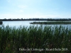 Espais naturals del Delta del Llobregat  – Prat de Llobregat