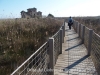 Espais naturals del Delta del Llobregat  – Prat de Llobregat