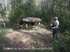 Dolmen de les Closes – Porqueres