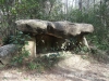 Dolmen de les Closes – Porqueres