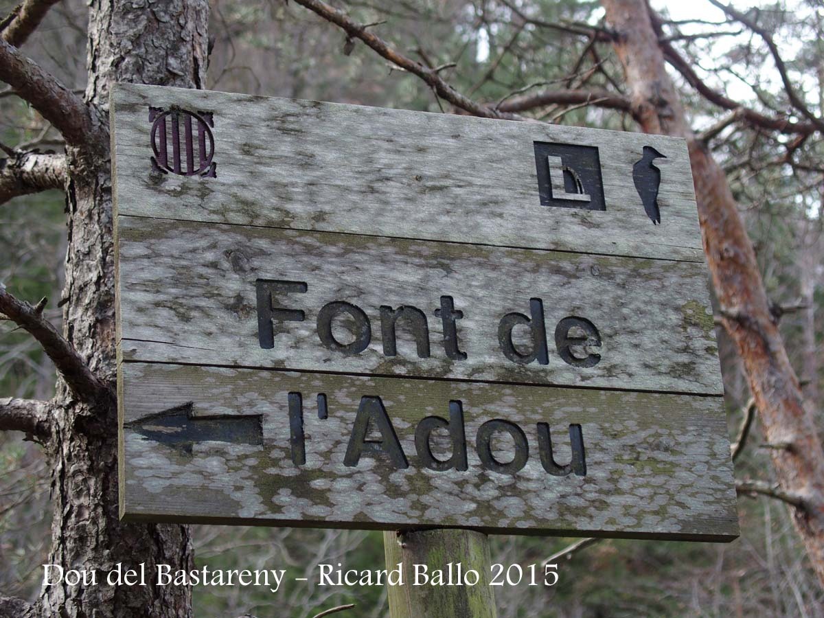 Camí a la Dou del Bastareny