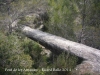 El Pont de les Arnaules – Manresa