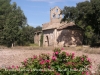 Ermita de la Mare de Déu de la Sala – Jorba - Volem fer constar que aquesta fotografia no és un muntatge. Les flors que apareixen al davant, son flors silvestres que realment estaven en aquest lloc el dia de la foto.