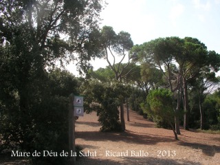 Ermita de la Mare de Déu de la Salut – El Papiol - Entorn.