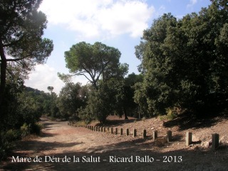 Ermita de la Mare de Déu de la Salut – El Papiol - Entorn.