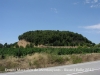 Ermita de la Mare de Déu de Montanyans – Castellet i la Gornal - Dins d'aquesta arbreda hi trobarem l'ermita.