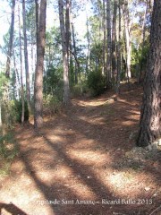 Ermita de Sant Amanç – Anglès - Una vista del camí a peu.