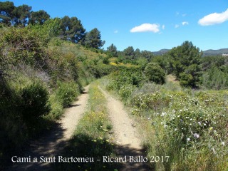 Una mostra d'un tram del camí que mena a l' Ermita de Sant Bartomeu – Riudecols