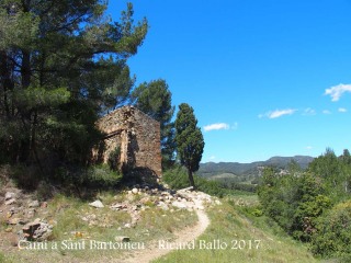 Una mostra d'un tram del camí que mena a l' Ermita de Sant Bartomeu – Riudecols