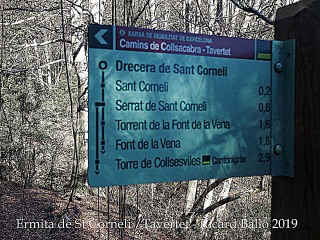 Ermita de Sant Corneli-Tavertet-Detall camí