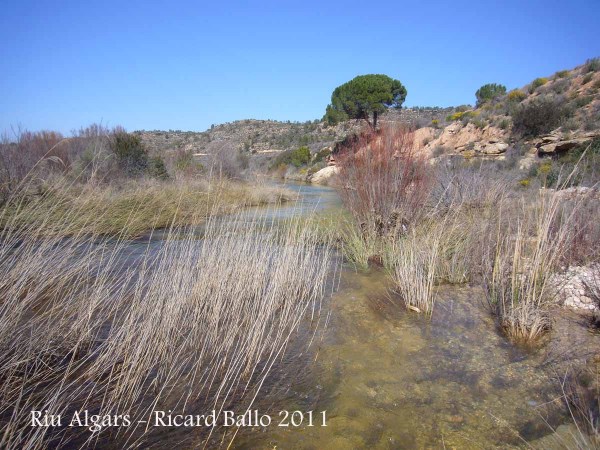 Riu Algars - Batea