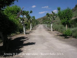 Ermita de Sant Joan de Carratalà - Camí d'accés.