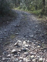 Camí d'accés a l'Ermita de Sant Joan – Riudaura - Algunes vistes del camí