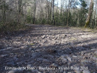 Camí d'accés a l'Ermita de Sant Joan – Riudaura - Algunes vistes del camí