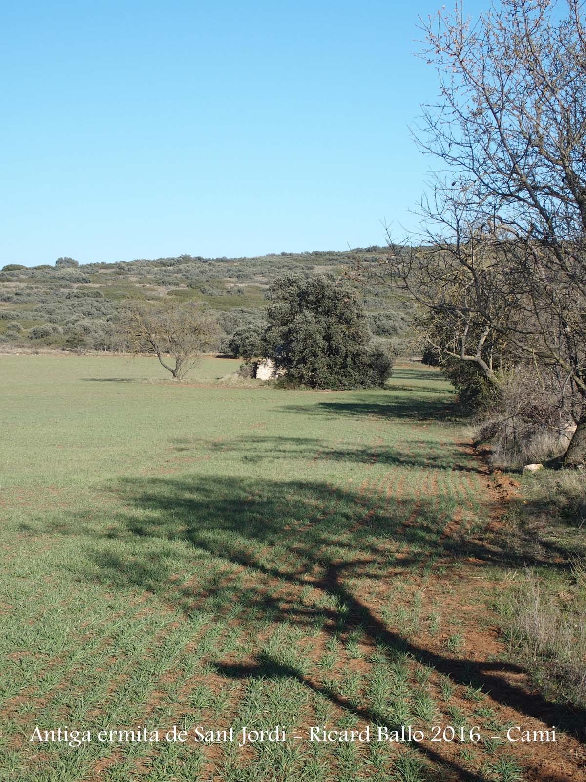 Camí a l'Ermita VELLA de Sant Jordi - Camarasa - L'església s'amaga dins del bell mig d'aquesta arbreda