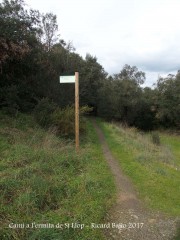 Camí a l\'Ermita de Sant Llop – Vilobí d\'Onyar