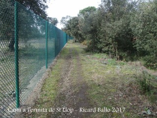 Camí a l\'Ermita de Sant Llop – Vilobí d\'Onyar