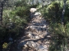 Camí a l'Ermita de Sant Marc – El Montmell