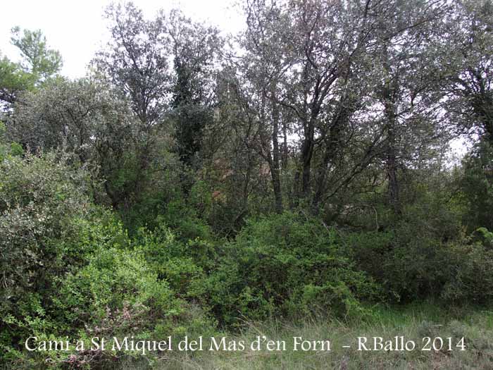 Ermita de Sant Miquel del Mas d’en Forn – Biosca