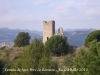 Ermita de Sant Pere de Romaní