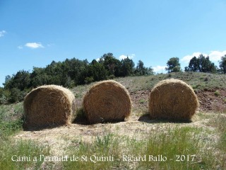 Camí a l'Ermita de Sant Quintí – Odèn