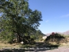 Ermita de Sant Quirc de Taüll - A l'inici del camí hi ha un disc de prohibició de circular-hi amb vehicles. Llavors, continuem a peu.