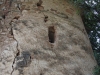 Ermita de Sant Silvestre – Vallirana - Absis