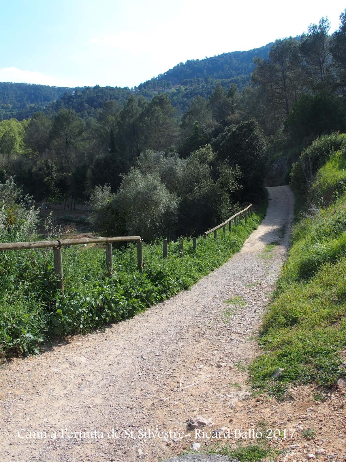 Camí a l\'Ermita de Sant Silvestre – Vallirana