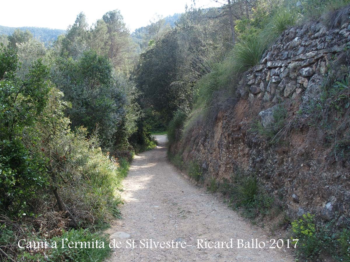 Camí a l\'Ermita de Sant Silvestre – Vallirana