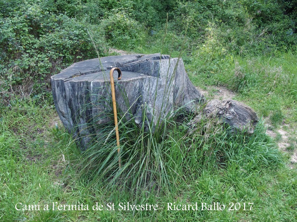 Camí a l\'Ermita de Sant Silvestre – Vallirana