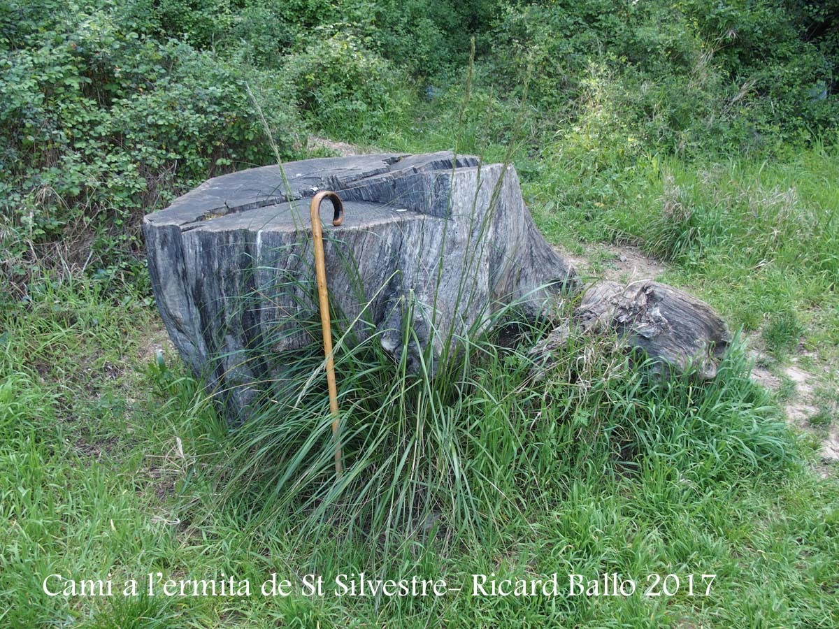 Camí a l\'Ermita de Sant Silvestre – Vallirana