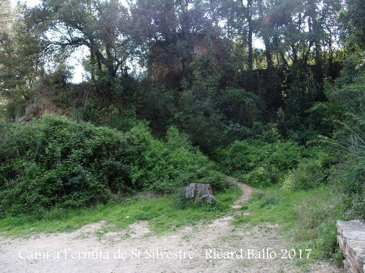 Camí a l\'Ermita de Sant Silvestre – Vallirana