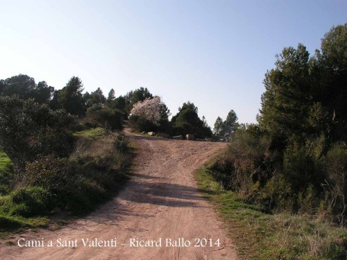 Camí a l'ermita de Sant Valentí de les Brucardes – Sant Fruitós de Bages - Continuarem per l'esquerra i amunt.