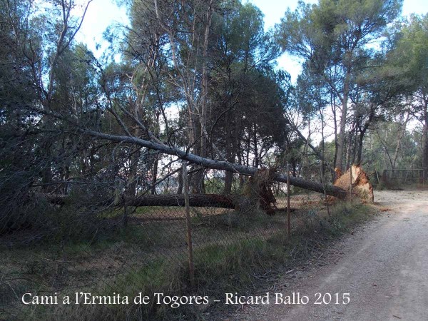 Ermita de Togores – Sabadell